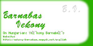 barnabas vekony business card